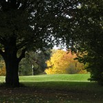 Golfclub Hubbelrath, Düsseldorf